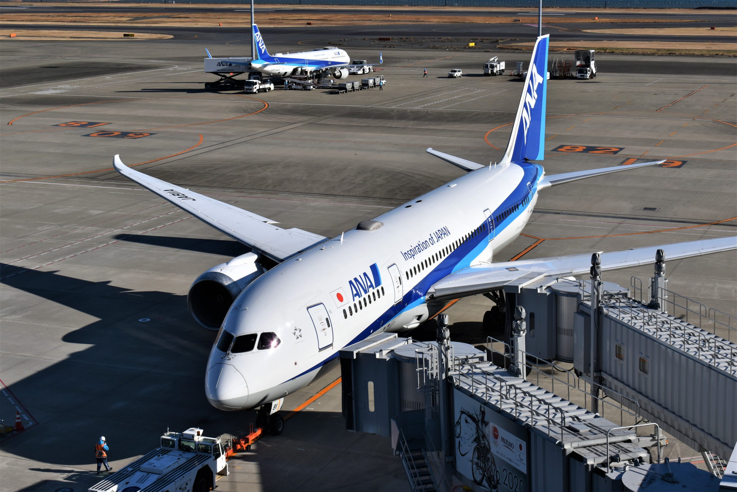 Ana 9月の国際線の運航計画を発表 羽田 ロサンゼルス線を再開も引き続き9割を運休または減便 Sky Budget スカイバジェット