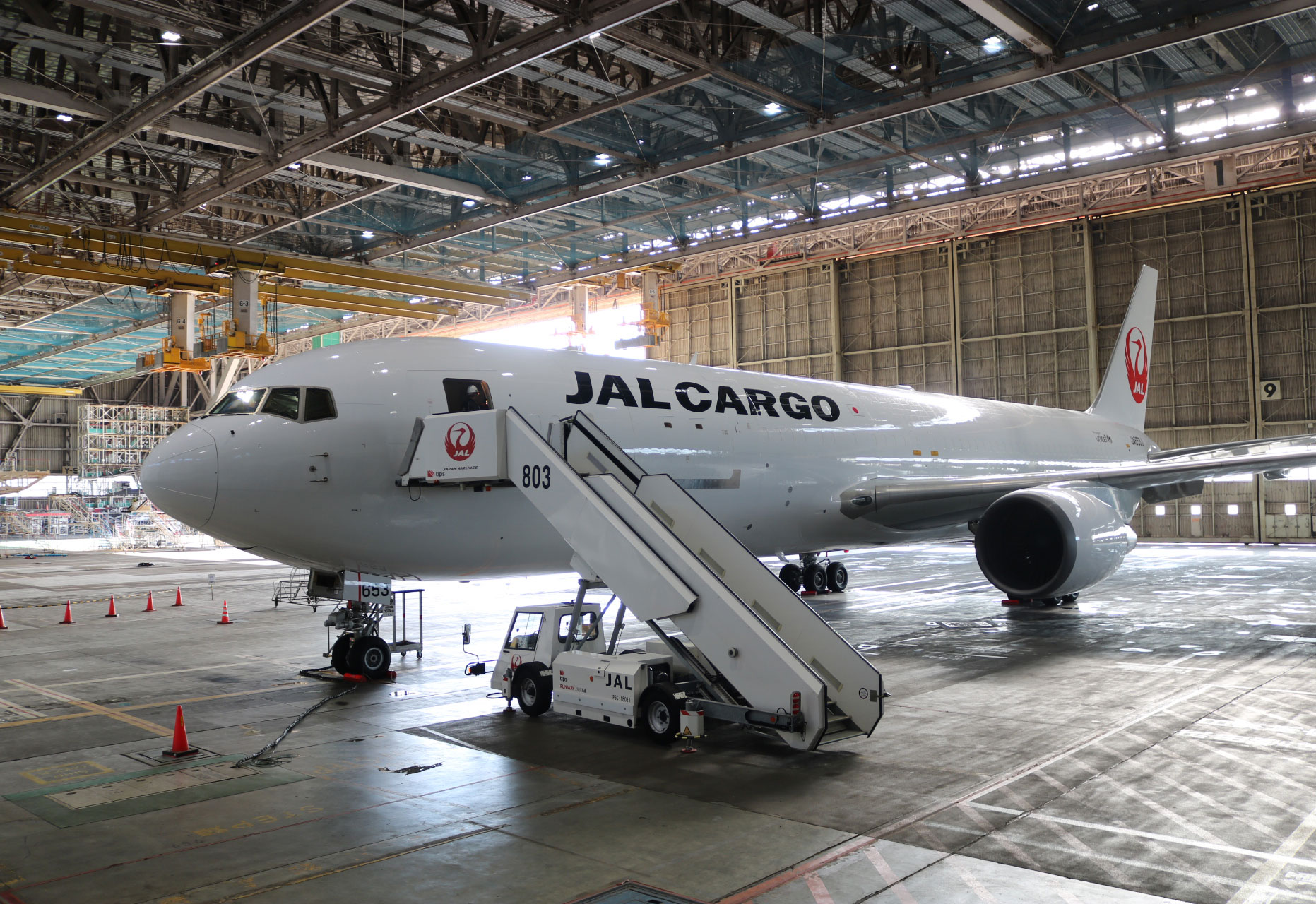 JALカーゴ、本日2024年6月18日より東京/成田～大連線に就航 | sky-budget スカイバジェット